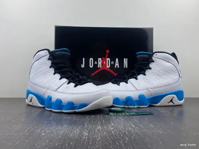 Rep Jordan Powder FQ8992-101 Blue Air 9 0524